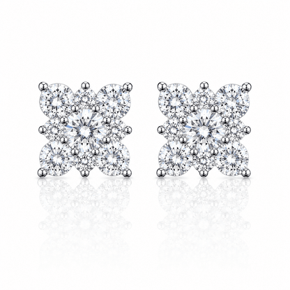 ARETES PARA HOMBRES | Lion Luxury