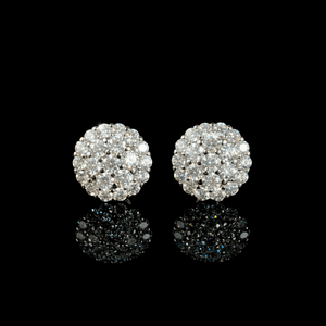 ARETES PARA HOMBRES | Lion Luxury