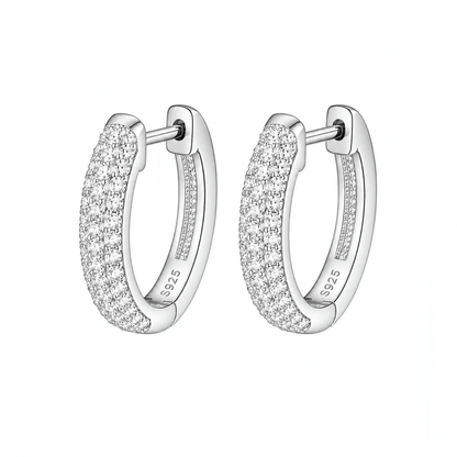 ARETES PARA HOMBRES | Lion Luxury