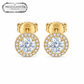 ARETES PARA HOMBRES | Lion Luxury