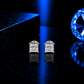 ARETES PARA HOMBRES | Lion Luxury