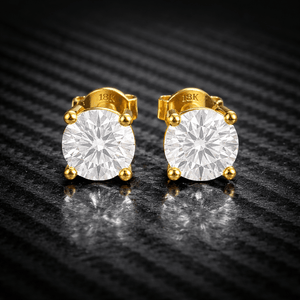 ARETES PARA HOMBRES | Lion Luxury