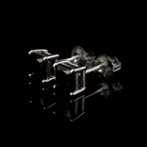 ARETES PARA HOMBRES | Lion Luxury