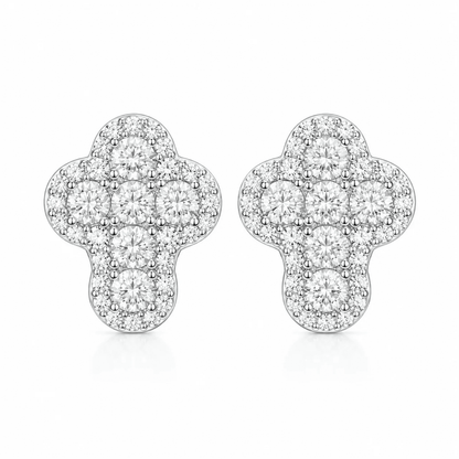 ARETES PARA HOMBRES | Lion Luxury