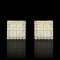 ARETES PARA HOMBRES | Lion Luxury