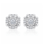 ARETES PARA HOMBRES | Lion Luxury