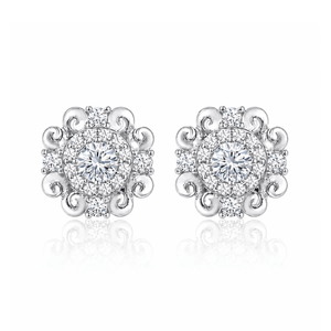 ARETES PARA HOMBRES | Lion Luxury