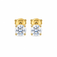 ARETES PARA HOMBRES | Lion Luxury