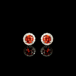 ARETES PARA HOMBRES | Lion Luxury