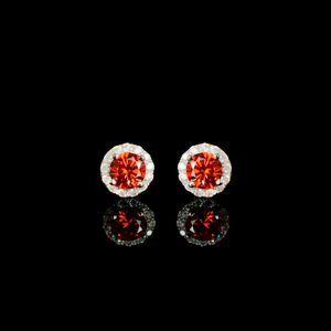 ARETES PARA HOMBRES | Lion Luxury