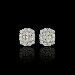 ARETES PARA HOMBRES | Lion Luxury