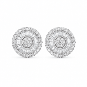 ARETES PARA HOMBRES | Lion Luxury