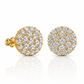 ARETES PARA HOMBRES | Lion Luxury
