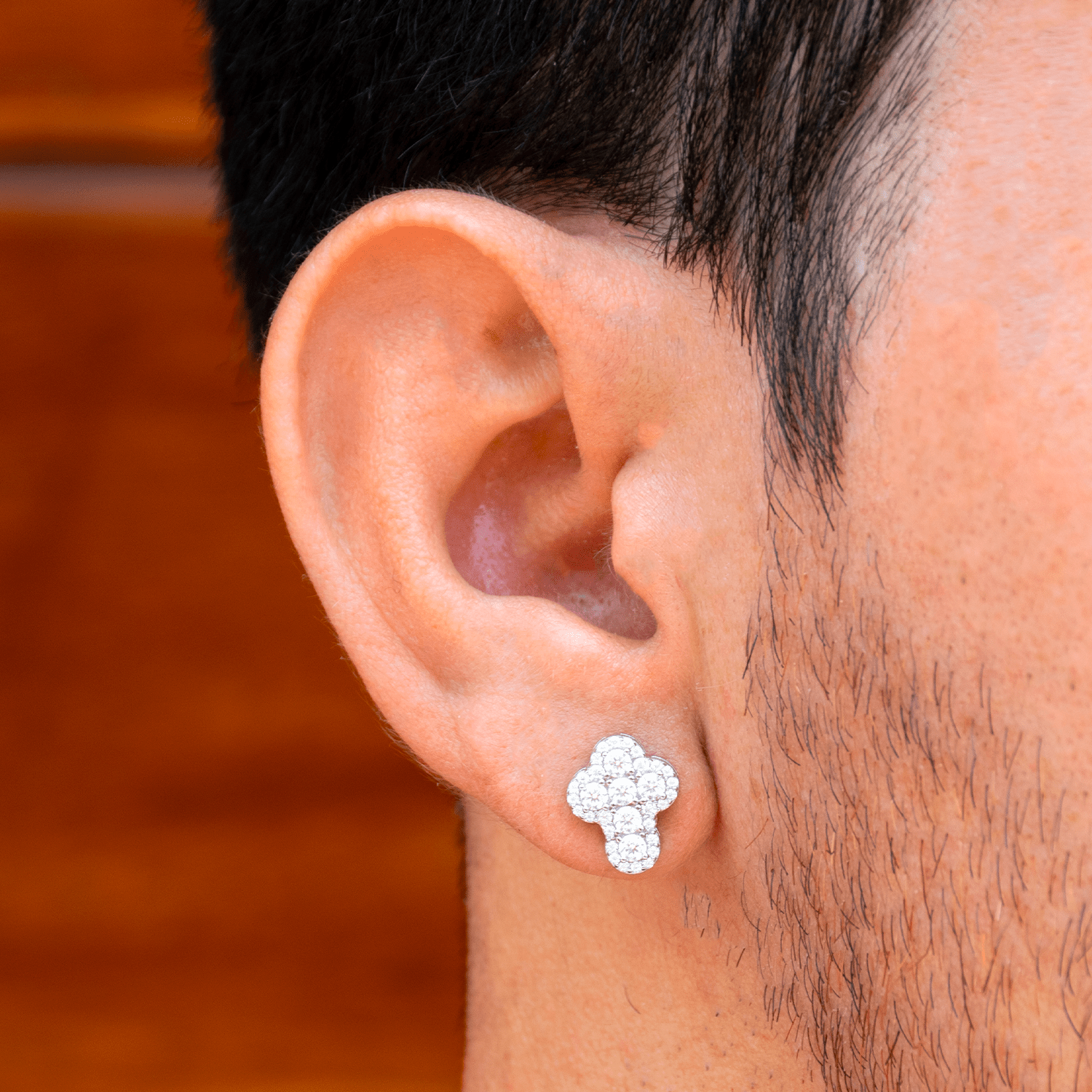 ARETES PARA HOMBRES | Lion Luxury