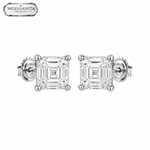 ARETES PARA HOMBRES | Lion Luxury