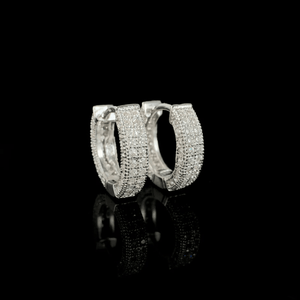 ARETES PARA HOMBRES | Lion Luxury