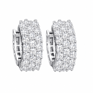 ARETES PARA HOMBRES | Lion Luxury