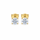ARETES PARA HOMBRES | Lion Luxury