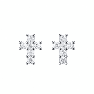 ARETES PARA HOMBRES | Lion Luxury