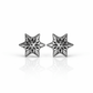 ARETES PARA HOMBRES | Lion Luxury