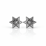 ARETES PARA HOMBRES | Lion Luxury