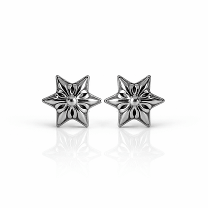 ARETES PARA HOMBRES | Lion Luxury