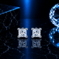 ARETES PARA HOMBRES | Lion Luxury
