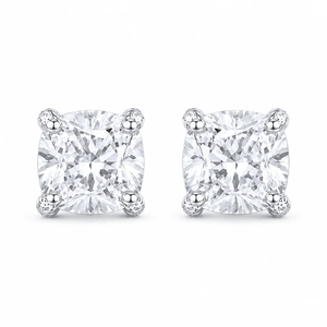 ARETES PARA HOMBRES | Lion Luxury