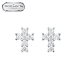 ARETES PARA HOMBRES | Lion Luxury