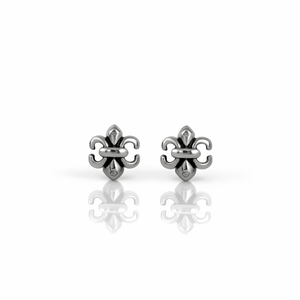 ARETES PARA HOMBRES | Lion Luxury