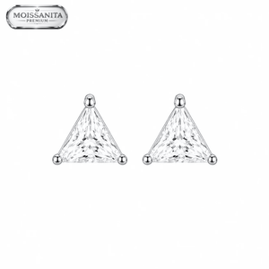 ARETES PARA HOMBRES | Lion Luxury