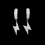 ARETES PARA HOMBRES | Lion Luxury