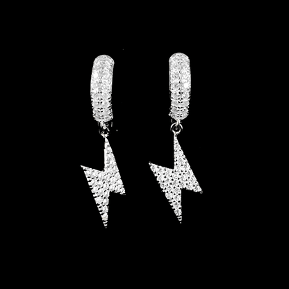 ARETES PARA HOMBRES | Lion Luxury