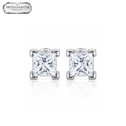 Arete Splendor 6mm – Plata 925 con Moissanita | Lion Luxury