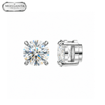 ARETES PARA HOMBRES | Lion Luxury