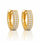 ARETES PARA HOMBRES | Lion Luxury