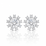 ARETES PARA HOMBRES | Lion Luxury