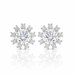 ARETES PARA HOMBRES | Lion Luxury