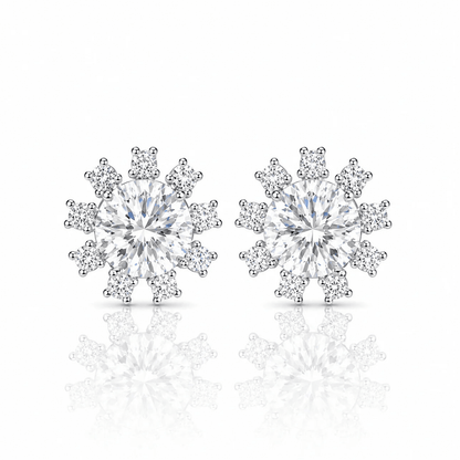 ARETES PARA HOMBRES | Lion Luxury