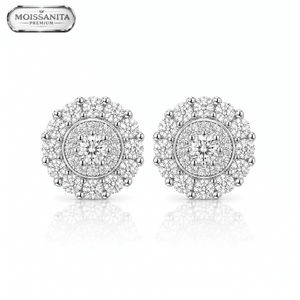 ARETES PARA HOMBRES | Lion Luxury