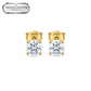 ARETES PARA HOMBRES | Lion Luxury