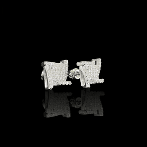 ARETES PARA HOMBRES | Lion Luxury