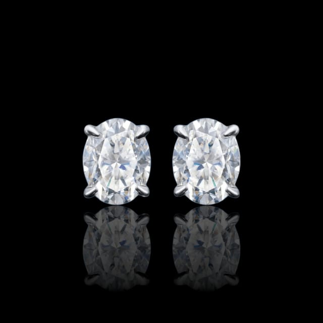 ARETES PARA HOMBRES | Lion Luxury
