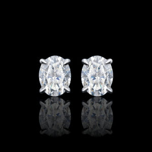 ARETES PARA HOMBRES | Lion Luxury