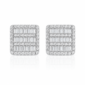 ARETES PARA HOMBRES | Lion Luxury