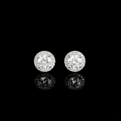 ARETES PARA HOMBRES | Lion Luxury