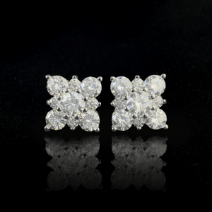 ARETES PARA HOMBRES | Lion Luxury