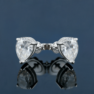 ARETES PARA HOMBRES | Lion Luxury