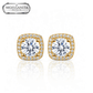 ARETES PARA HOMBRES | Lion Luxury