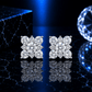 ARETES PARA HOMBRES | Lion Luxury